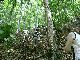 DSCF4281.jpg